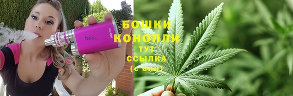 бошки Белокуриха