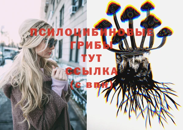 ПСИЛОЦИБИНОВЫЕ ГРИБЫ Бородино