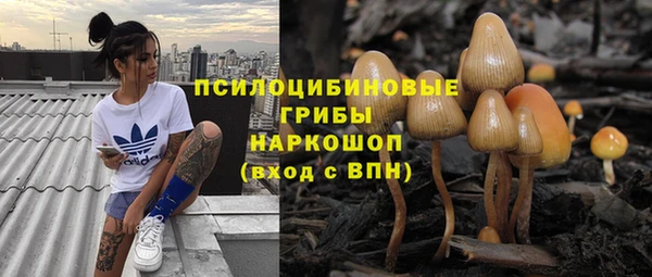 бошки Белокуриха