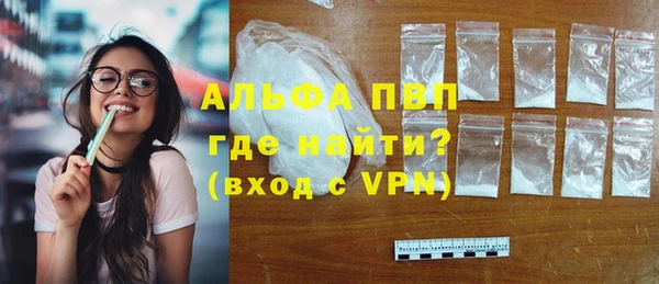 ПСИЛОЦИБИНОВЫЕ ГРИБЫ Богданович