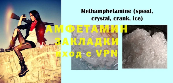 ПСИЛОЦИБИНОВЫЕ ГРИБЫ Богданович