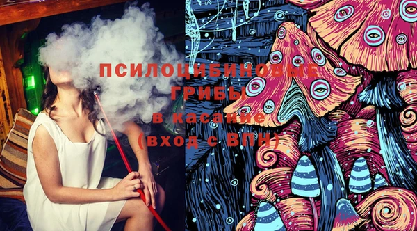 бошки Белокуриха