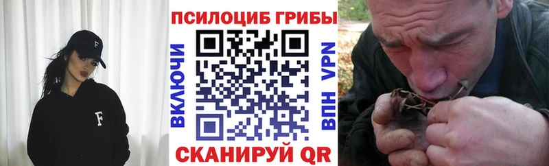 продажа наркотиков  ссылка на мегу ссылки  Псилоцибиновые грибы ЛСД  Бахчисарай 